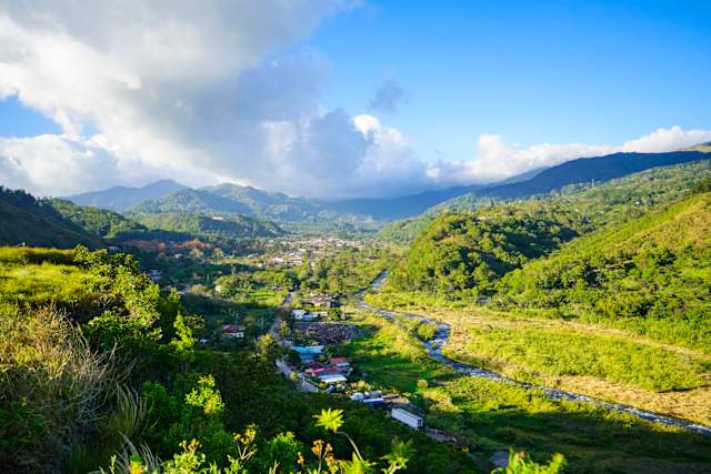 Cloudforest and Caribbean Islands photo 1
