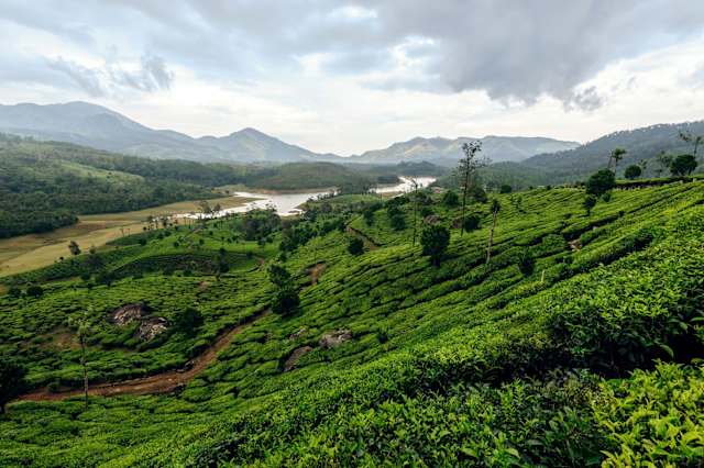 India's North & South: Taj Mahal to Kerala Backwaters photo 4
