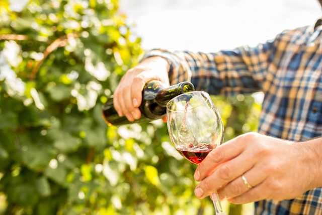 San Francisco Highlights & Napa Valley Wines photo 2