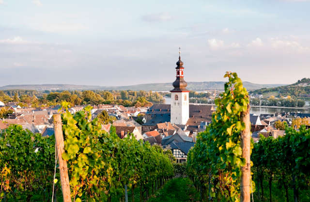 Rhine Discovery with Castle Stay photo 2