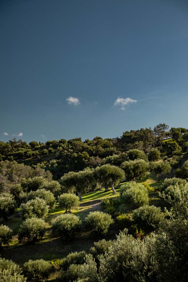Legends & Coastlines of Corfu photo 2