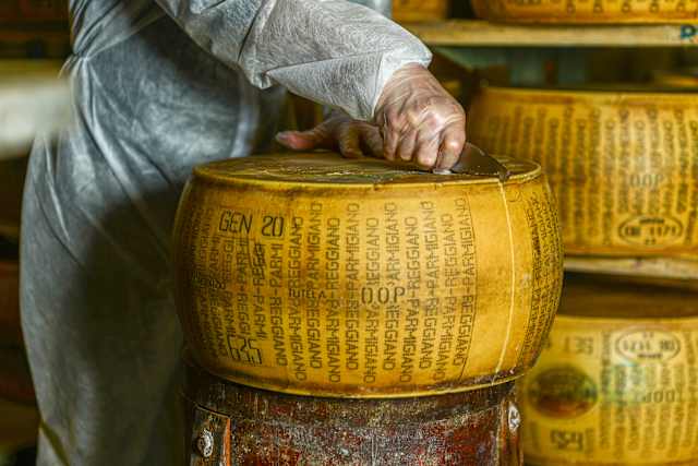 Savoring Northern Italy: Barolo Wines & Bologna photo 4