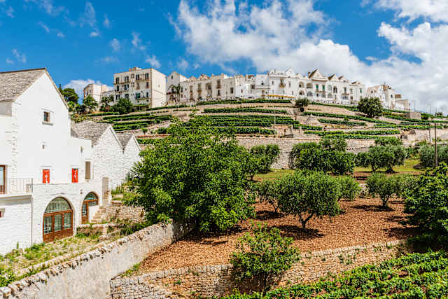 The Essence of Puglia: Italy's Coastal Gem photo 4