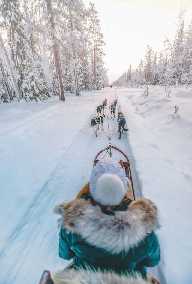 Helsinki & the Northern Arctic photo 2