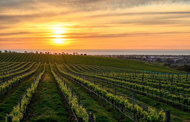 Australia's Food & Wine Regions photo 3
