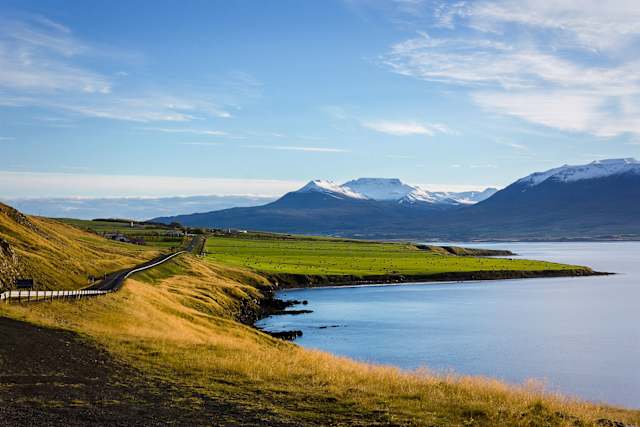 Iceland: Wildlife & Arctic Coast photo 4