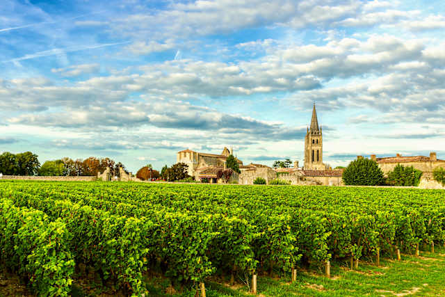 Eiffel Tower to Estate Wines: Burgundy & Bordeaux photo 2