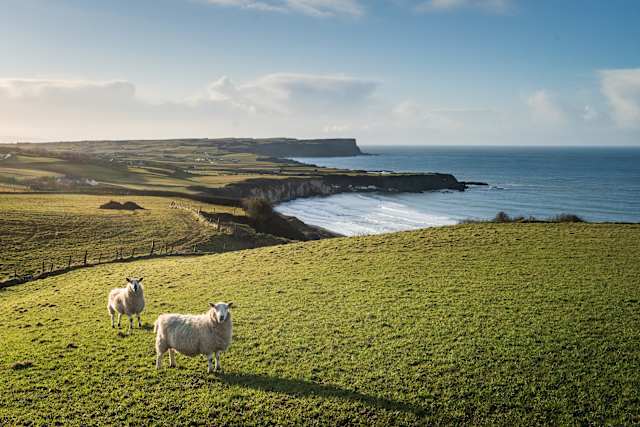 Coastal Heritage of Ireland & Northern Ireland photo 2