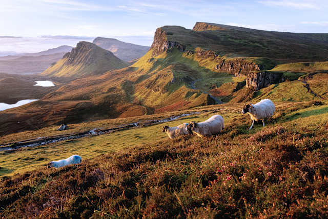 Scotland's Heart: Castles & Wild Highlands photo 1