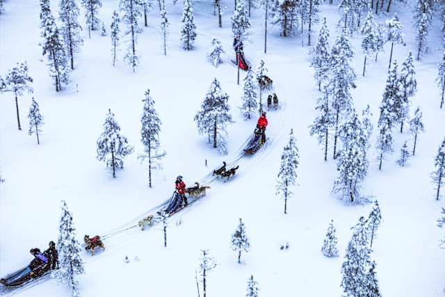 Finland Winter Family Fun photo 3