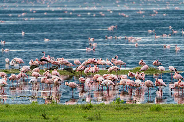 Uncharted Tanzania: North to South Safari photo 3