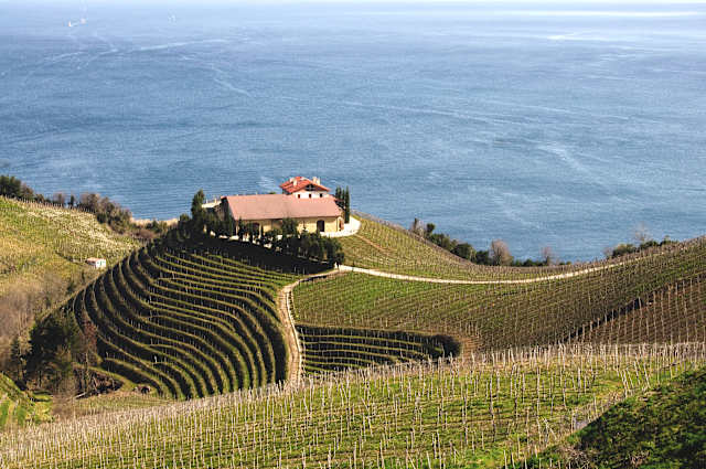 A Taste of Bordeaux & Basque Region photo 1