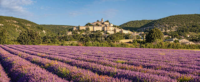 The Essence of Provence photo 1