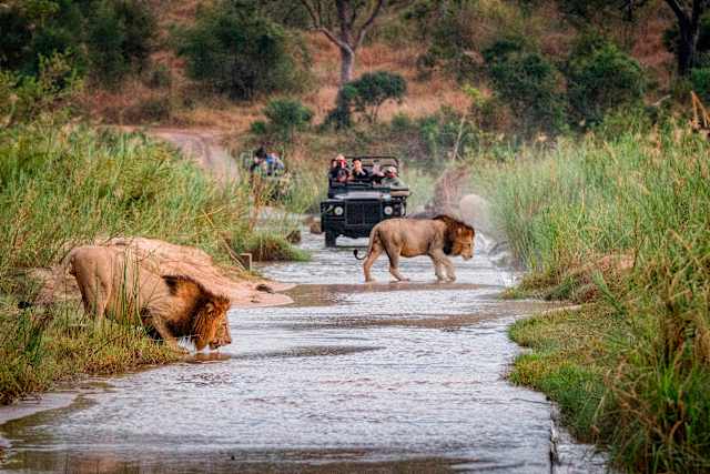 Cape Town & Kruger Safari photo 1
