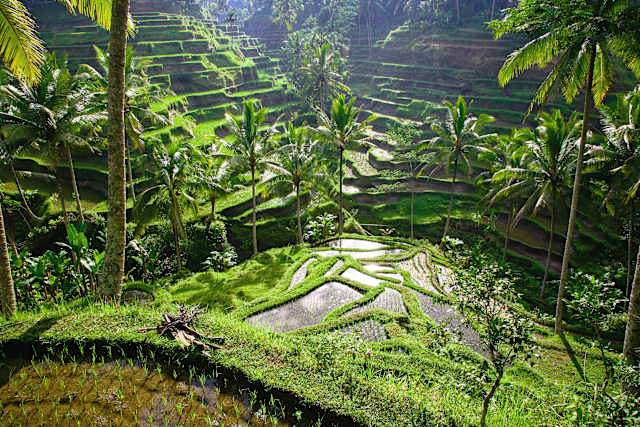 Java, Bali & Lombok: Sacred Sites & Luxe Hideaways  photo 2