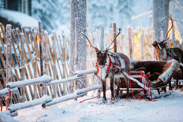 Finland Winter Family Fun photo 1
