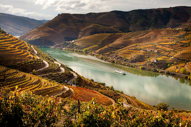 Portugal Cultural Journey & Douro River Cruise  photo 1
