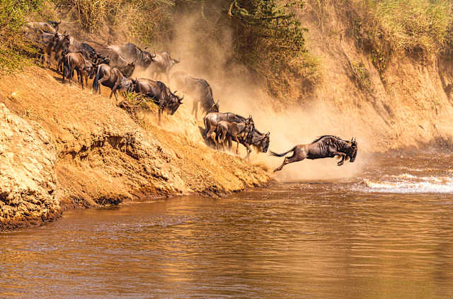 Tanzania’s Great Migration Safari photo 1