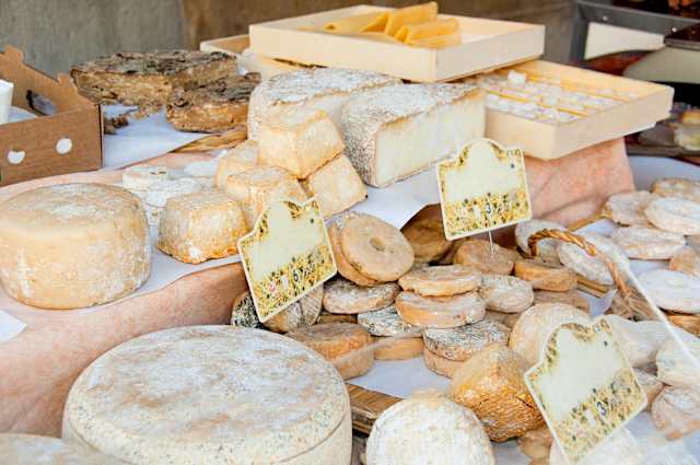 Gastronomic Delights & Alpine Heights  photo 3