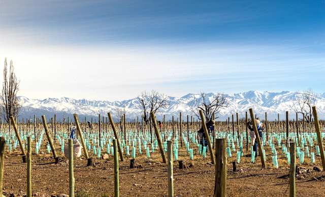Ski & Savor Argentina: Andes Slopes & Mendoza Wines photo 3