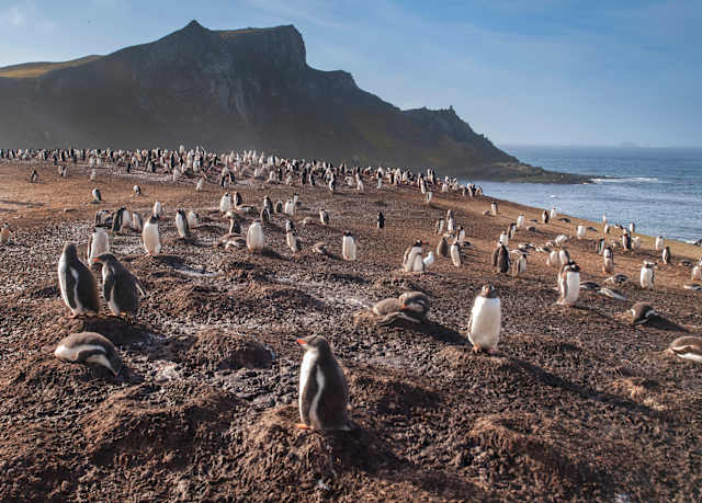 Journey to the White Continent photo 4