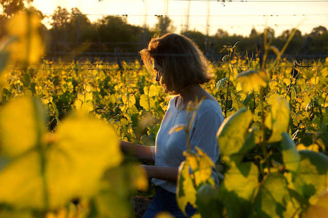 Chilean Valleys & Malbecs of Mendoza photo 3