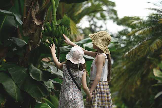 Costa Rica Family Adventure photo 3