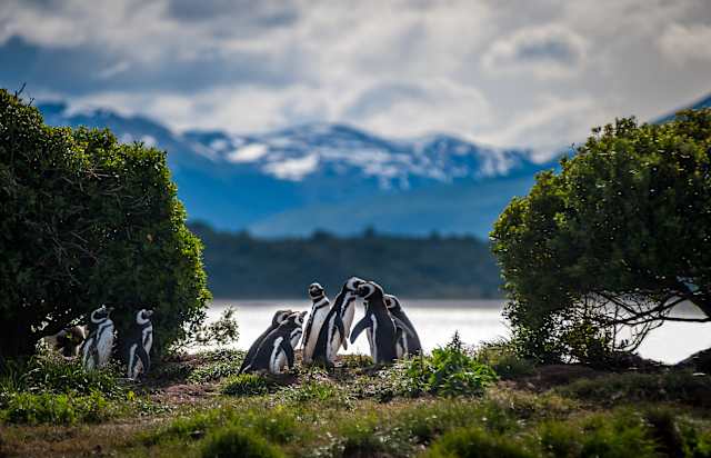 Gauchos, Glaciers & Fjords of Fire photo 2