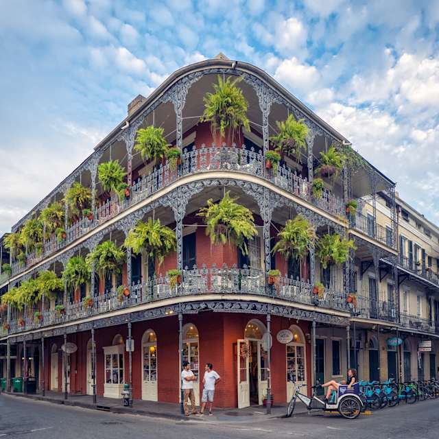 New Orleans Signature  photo 2