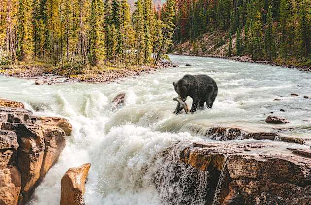 Canadian Rockies Signature & Lakeside Luxury photo 4