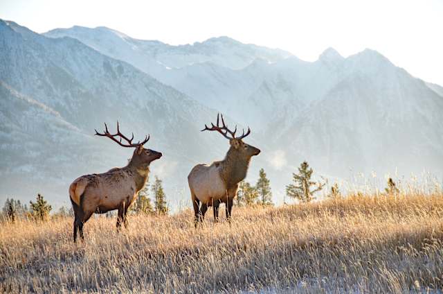 Autumn Self-Drive: Banff & Jasper photo 1