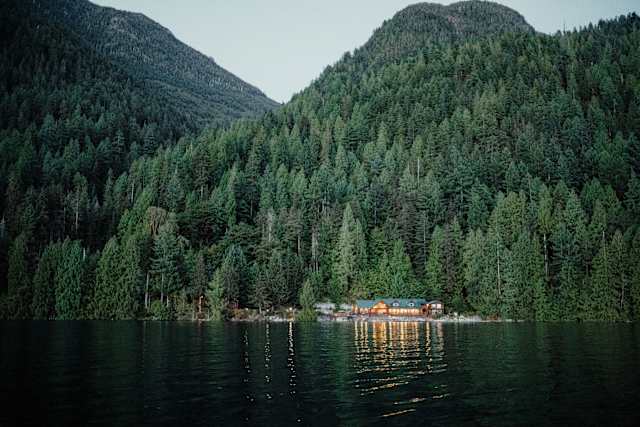 Rainforest to Sea: Klahoose Nation & British Columbia Grizzlies photo 2