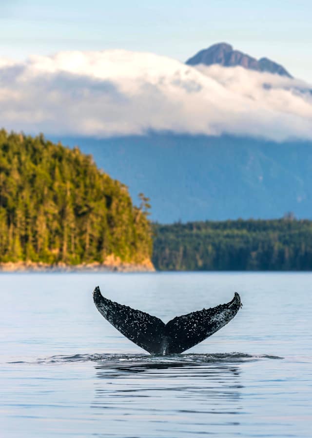 Vancouver Island Signature photo 2