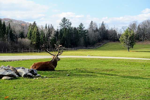 Active Eastern Canada: Family Road Trip photo 3