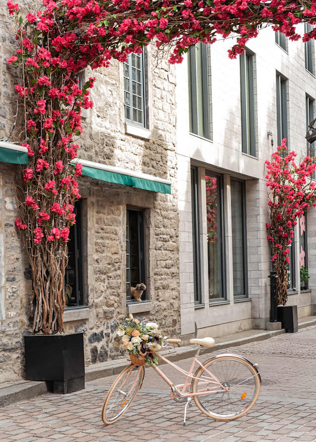 Quebec Iconic Cities Discovery photo 2