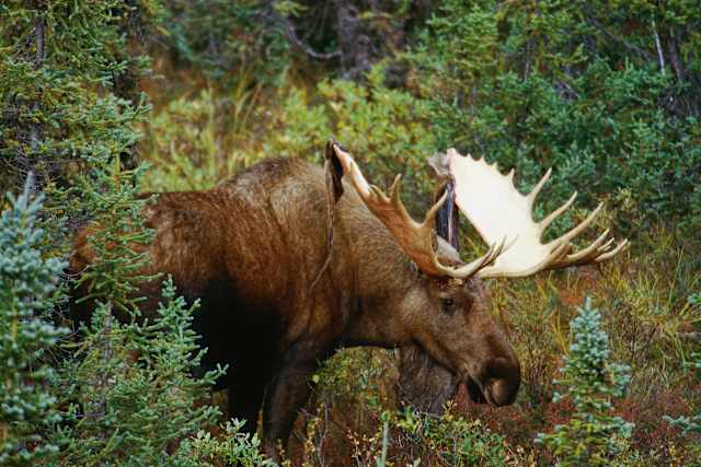 Explore Newfoundland: Gros Morne & Beyond photo 4