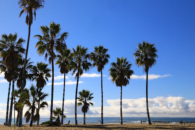 California Active Adventure: L.A. To Santa Barbara photo 3