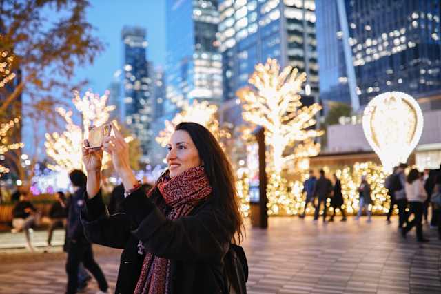 Christmas Lights of New York City photo 1