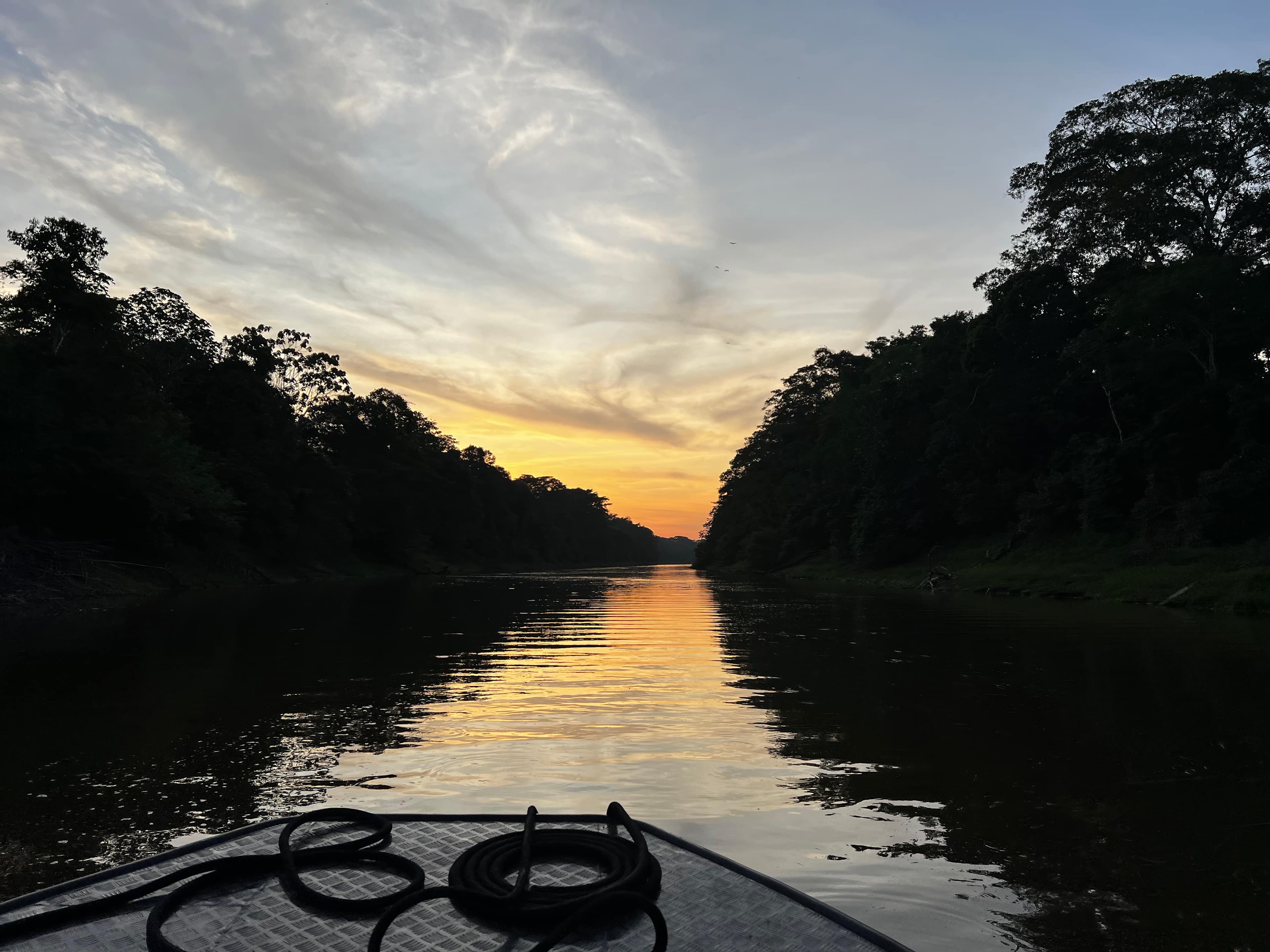 A captivating cruise on the Amazon River