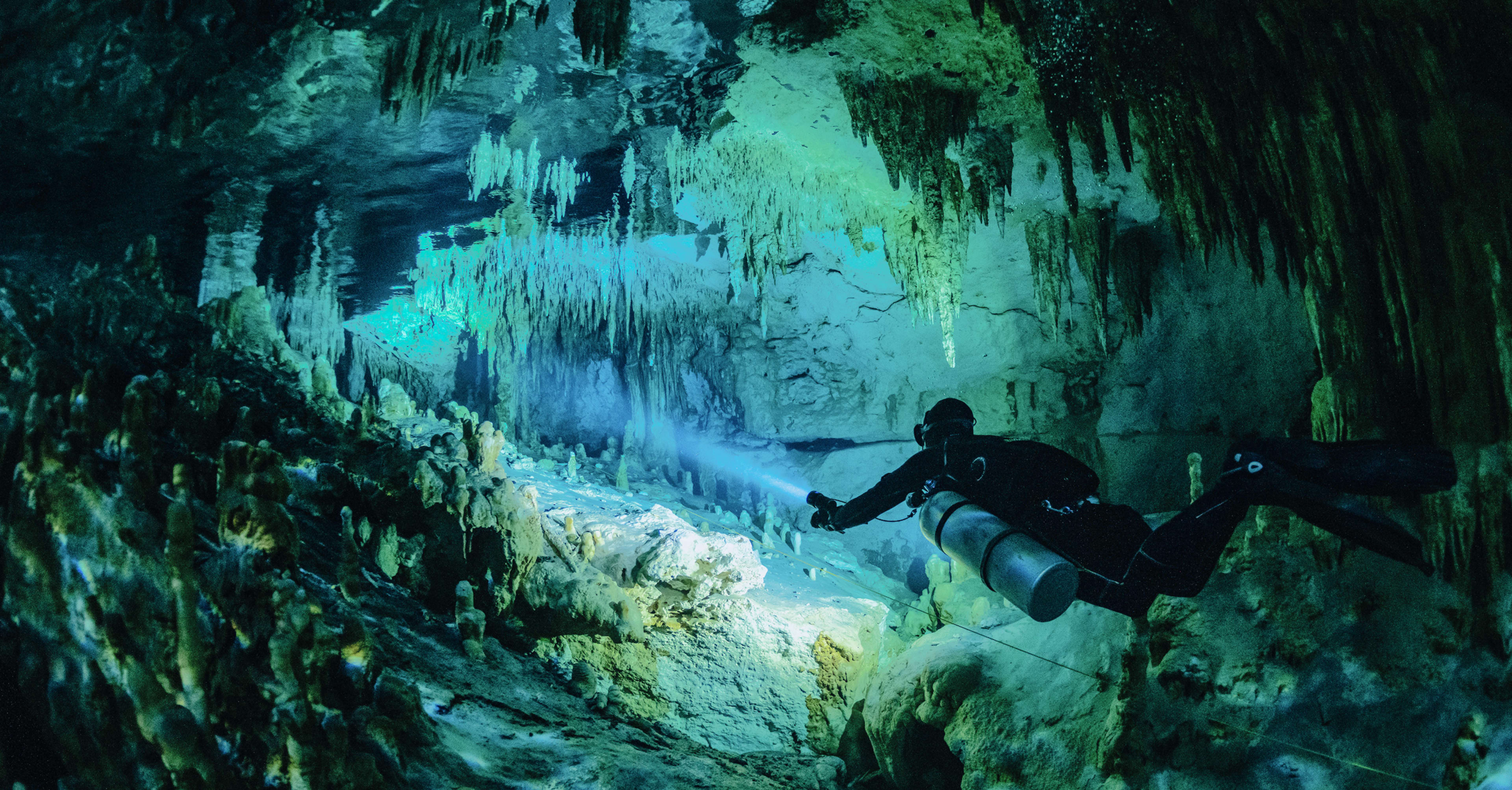 Announcing the 2025 Recipients of The Explorers Club Kensington Conservation Grant