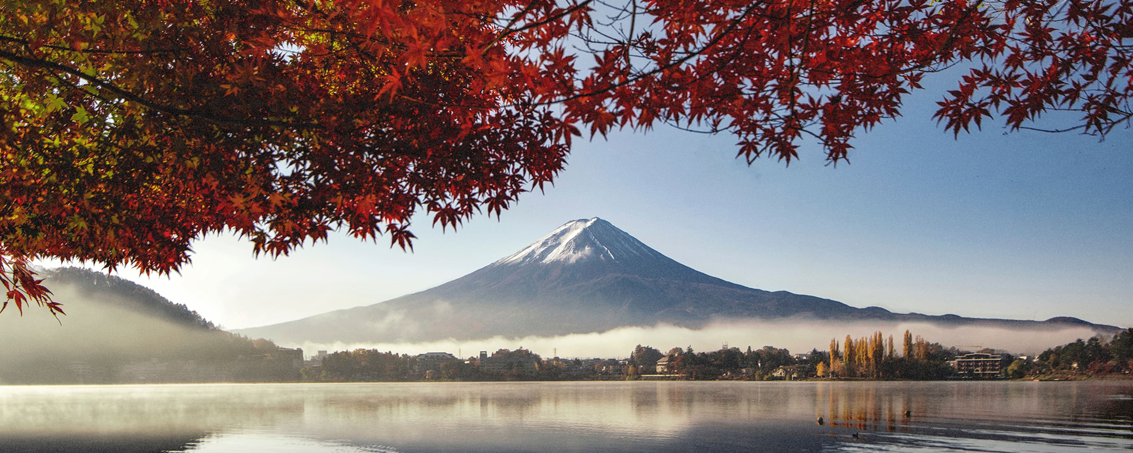 The Best Time to Visit Japan