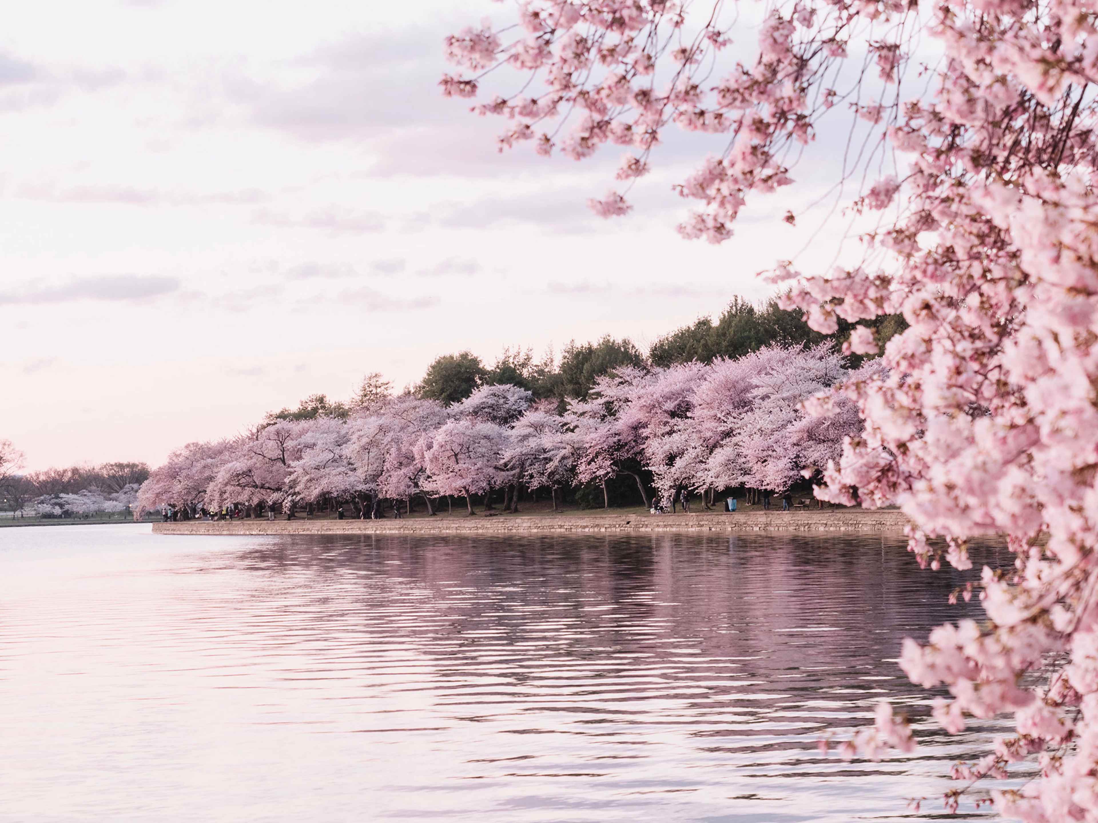 The Most Beautiful Places in North America To Visit This Spring