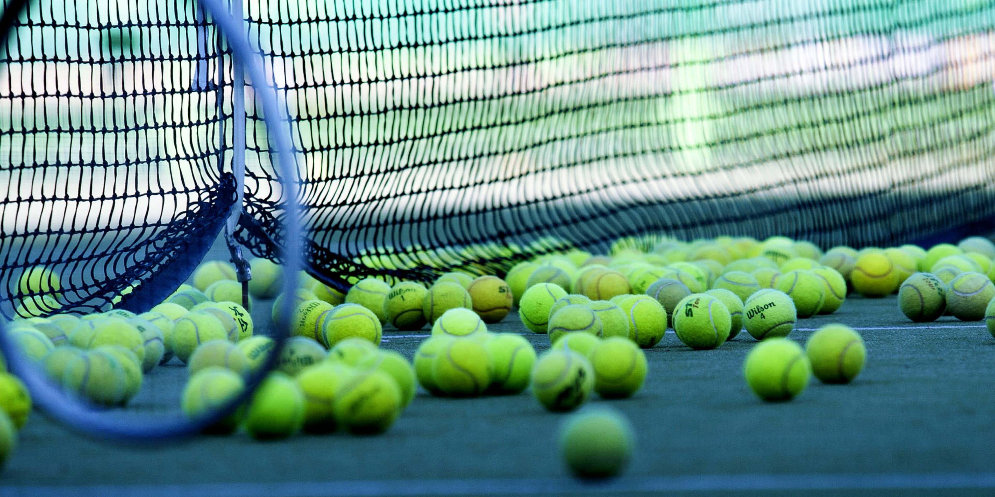 The Wimbledon Experience