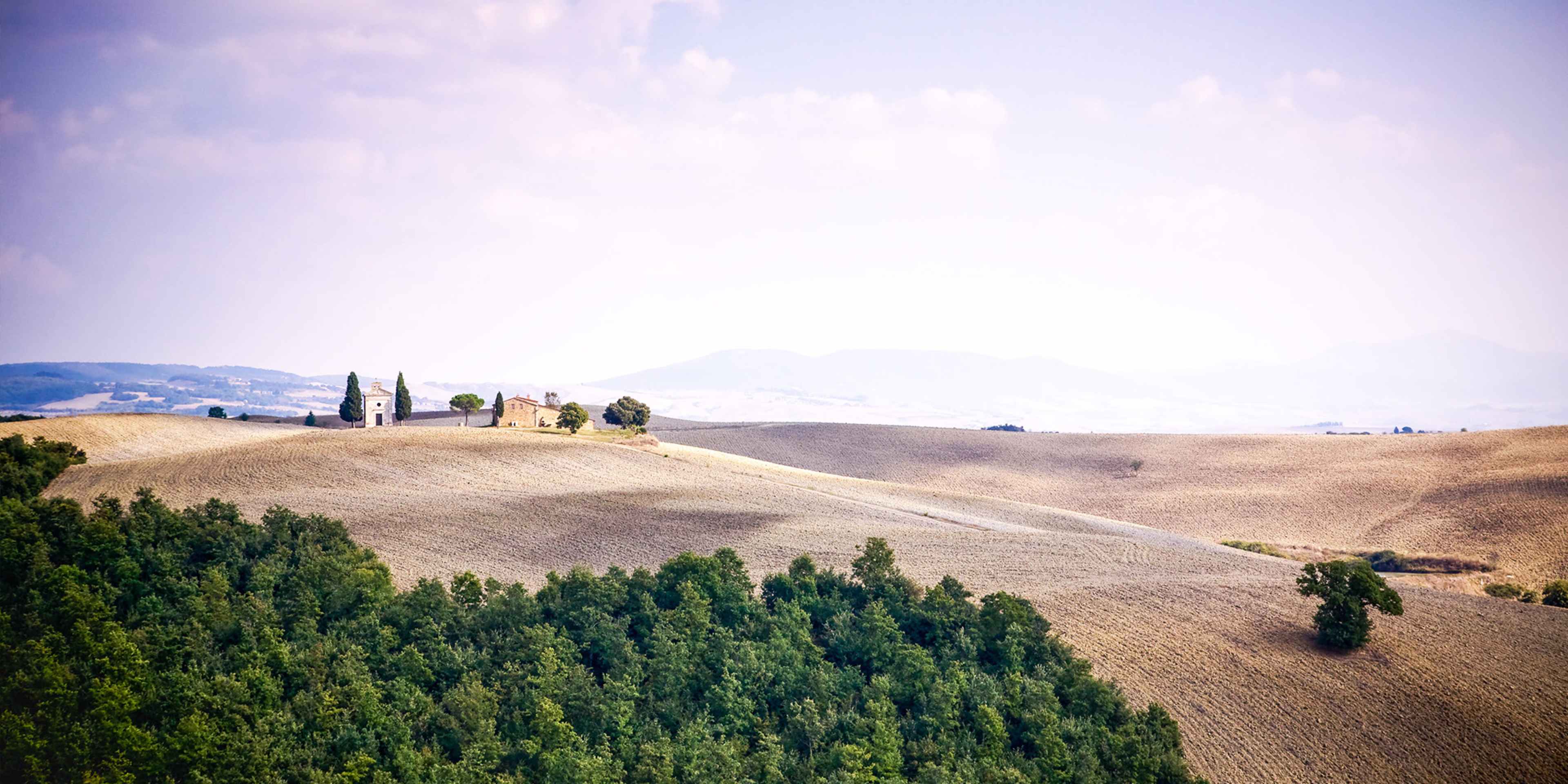 Wine Lover's Guide to Europe