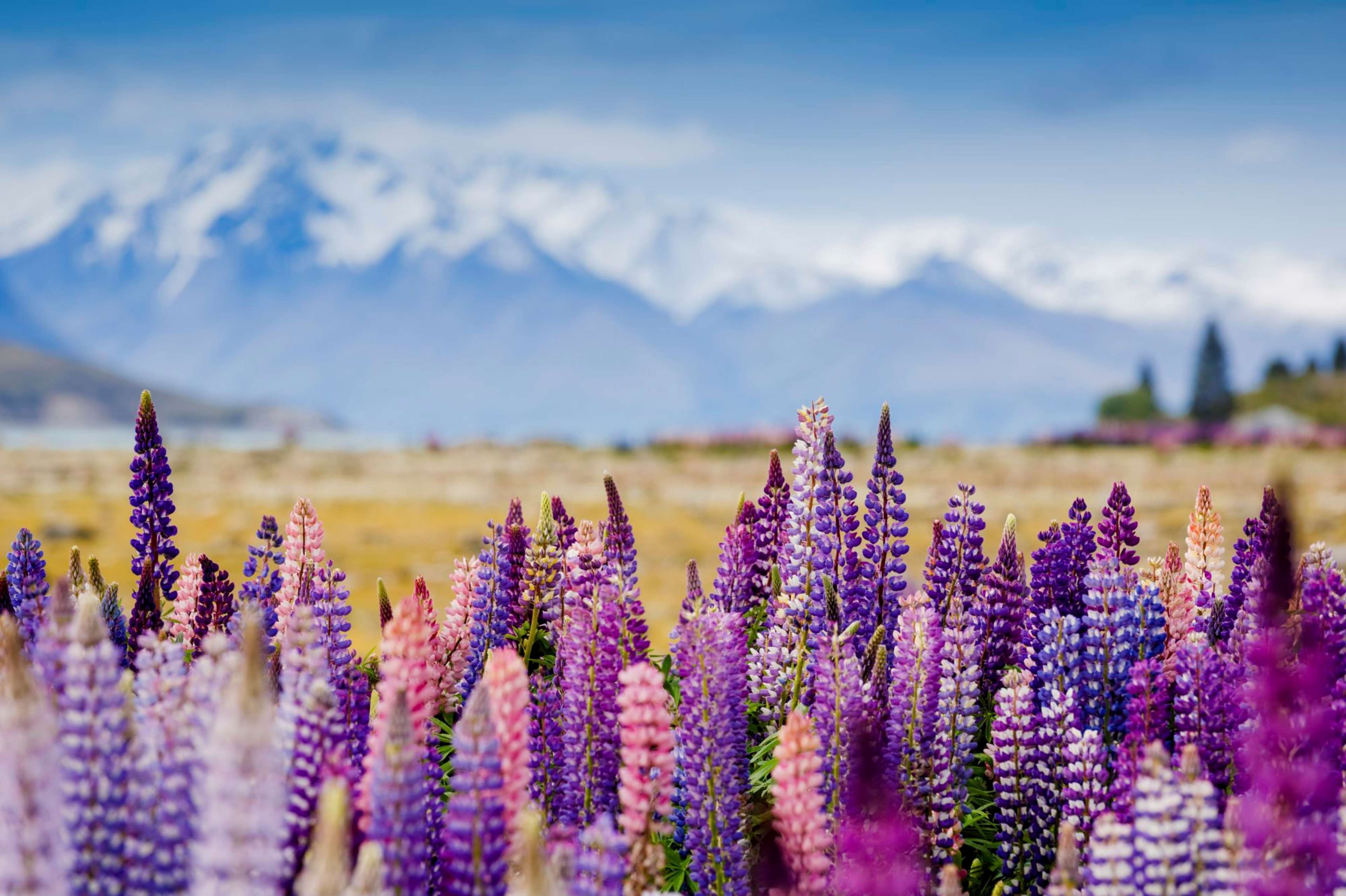 Travel trends for 2023: hot destinations and top travel styles