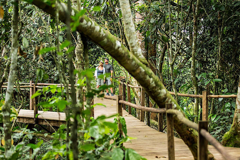 Raised Walkways