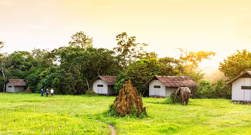 Guest Chalets