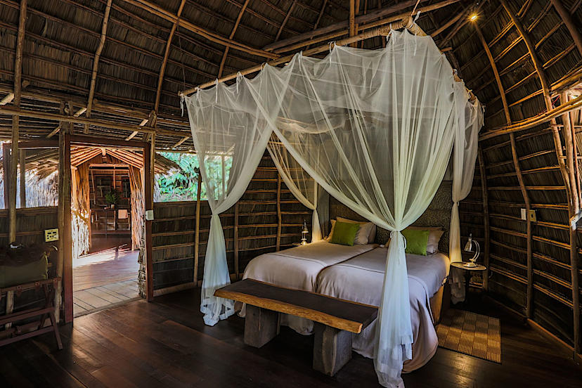 Forest Room