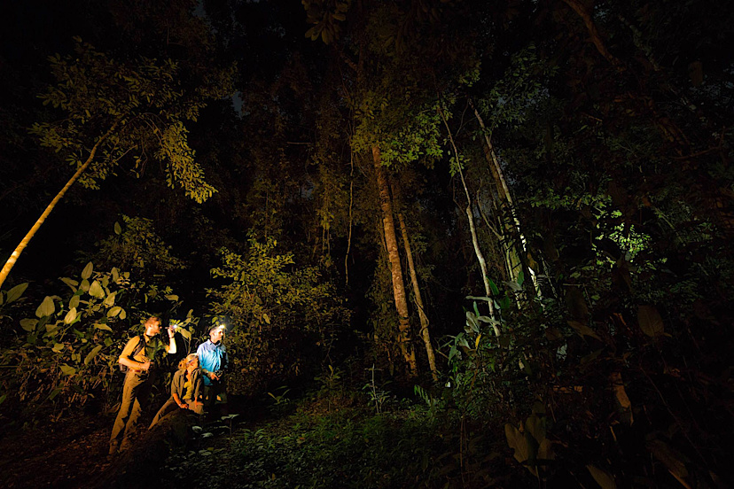 Night Walk