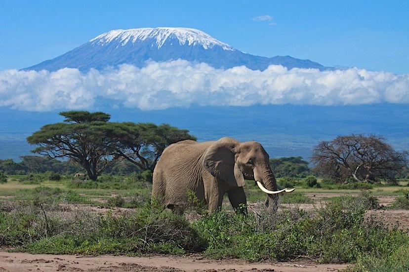 NAIROBI TO AMBOSELI